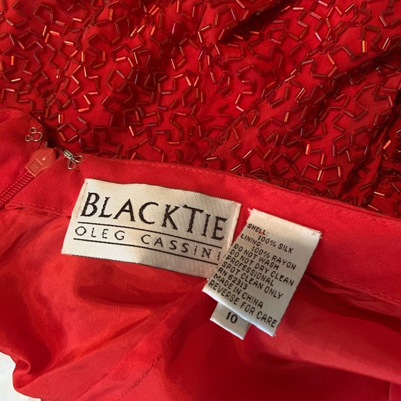 Vintage Beaded Dress - Picture 6 of 10